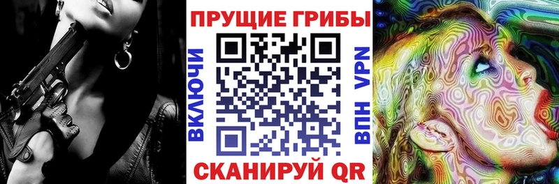 Псилоцибиновые грибы мицелий  Купить где  Кудрово 